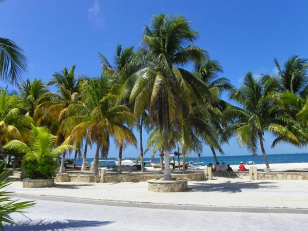 Estrella Del Mar - Condo 101 Isla Mujeres Eksteriør billede